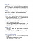 Introduccion de Toolkid pediatrico