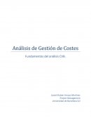 Análisis de Gestión de Coste.