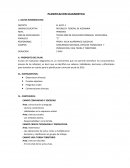 PLANIFICACION DIAGNOSTICA