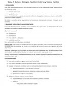 Balanza de Pagos, Equilibrio Externo y Tipo de Cambio