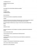 Sistemas de informacion. Clasificación de un SI