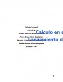 Calculo integral