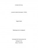 Informe Metodología de la Investigación