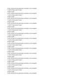 En busca de un guion