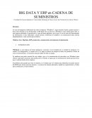 BIG DATA Y ERP en CADENA DE SUMINISTROS