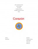 Núcleo Anzoátegui Física medica