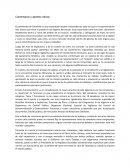 ENSAYO DERECHO PARLAMENTARIO