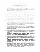 PRÁCTICA DEL APARATO DIGESTIVO