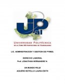 DERECHO LABORAL - UN MUNDO FELIZ