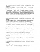 ¿Cuál crees usted que es el aporte de los Mapas de Riesgos dentro de una organización?
