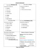 Desarrollo del sistema endocrino