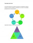 Funciones ejecutivas EJERCICIO #1 CONJUNTO DE PALABRAS