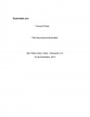 Análisis de las elecciones Las observaciones electorales generales