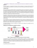 RENDIMIENTO Y PÉRDIDAS EN LOS MOTORES ELÉCTRICOS DE CORRIENTE CONTINUA