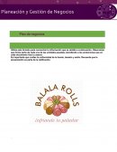 Plan y gestion de negocios