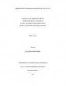 EXPORTACIÓN PANGASIUS HYPOPHTHALMUS EN FILETE