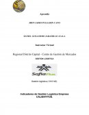 Caracteristicas cuantiativas. Indicadores de Gestión Logística Empresa CALIENTITOS