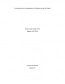 La transparencia de la propaganda en los diálogos de paz del Caguán