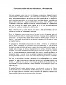 Contaminación del mar Honduras y Guatemala