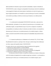 INCIDENTE DE LIQUIDACION DE SOCIEDAD CONYUGAL, CON PERDIDA DE DERECHO POR  OCULTAMIENTO DE BIENES - Trabajos - Rosi Gasi