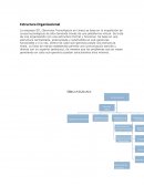 Estructura Organizacional ensayo