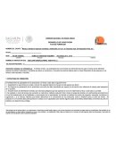 Curso Plantas medicinales. Plan de Formación