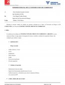 INFORME SEMANAL DE LA CONSTRUCCION DE CLERDISUR II