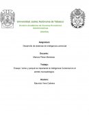 Ensayo “cómo y porqué es importante la Inteligencia Comercial en el ámbito mercadológico