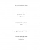 Apuntes Emprendimiento Solidario.