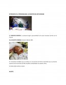 EXTINCION DE LA PERSONALIDAD, LA MUERTE DEL SER HUMANO