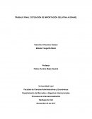 TRABAJO FINAL COTIZACIÓN DE IMPORTACIÓN GELATINA A GRANEL
