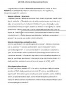 MIU 2018 - Informe de Observación en Terreno