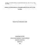 RESEÑA LOS FERROCARRILES LATINOAMERICANOS DEL SIGLO XIX: EL CASO COLOMBIA