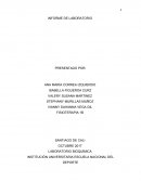 INFORME DE LABORATORIO. RESUMEN DE LA PRÁCTICA