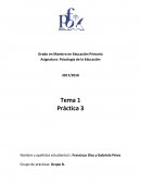 Practica psicologia Tema 1