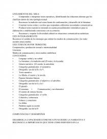 LINEAMIENTOS AREA DE ESPAÑOL. Página 1