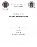 MICROBIOLOGÍA ORAL STREPTOCOCCUS SALIVARIUS