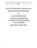PROTOCOLO DE INVESTIGACION LAS PYMES Y SU EFICACIA EN MEXICO