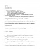 Organos de Vigilancia Financiera México