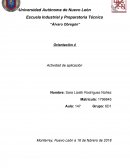 Actividad de aplicacion Orientacion 4 Etapa 1