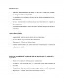 Las actividades de apoyo