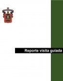 Reporte visita guiada. Bosque de “Los Colomos”