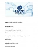 HENRY FAYOL Y SUS PRINCIPIOS