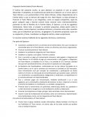 Propuesta Familia Solera (Team Marzen)