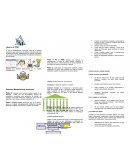 TPM (MANTENIMIENTO PRODUCTIVO TOTAL) Pasos del Mantenimiento Autónomo