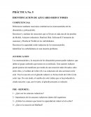 PRÁCTICA No. 5 IDENTIFICACION DE AZUCARES REDUCTORES