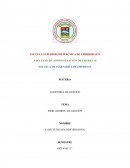 Auditoria de gestion. INDICADORES DE GESTIÓN