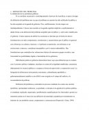 Analisis de políticas publicas . La definición de los problemas públicos