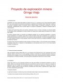 Proyecto de exploración minera Gringo Viejo. Resumen ejecutivo