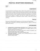 PRÁCTICA RECEPTORES SENSORIALES